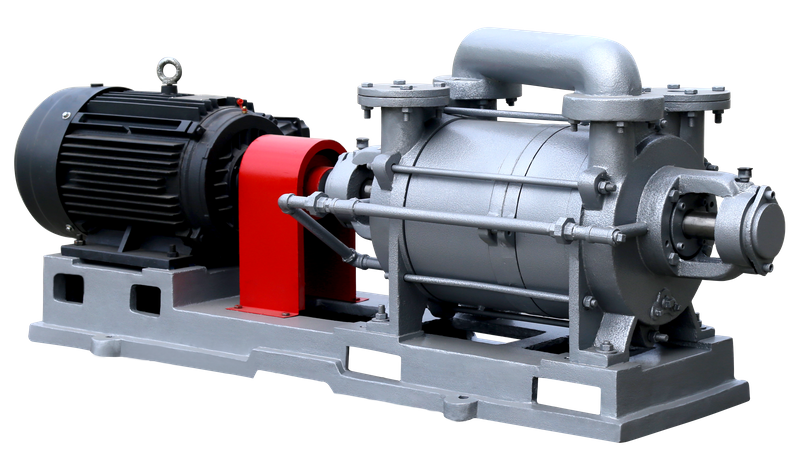 2SK Series Water Ring Vacuum Pump